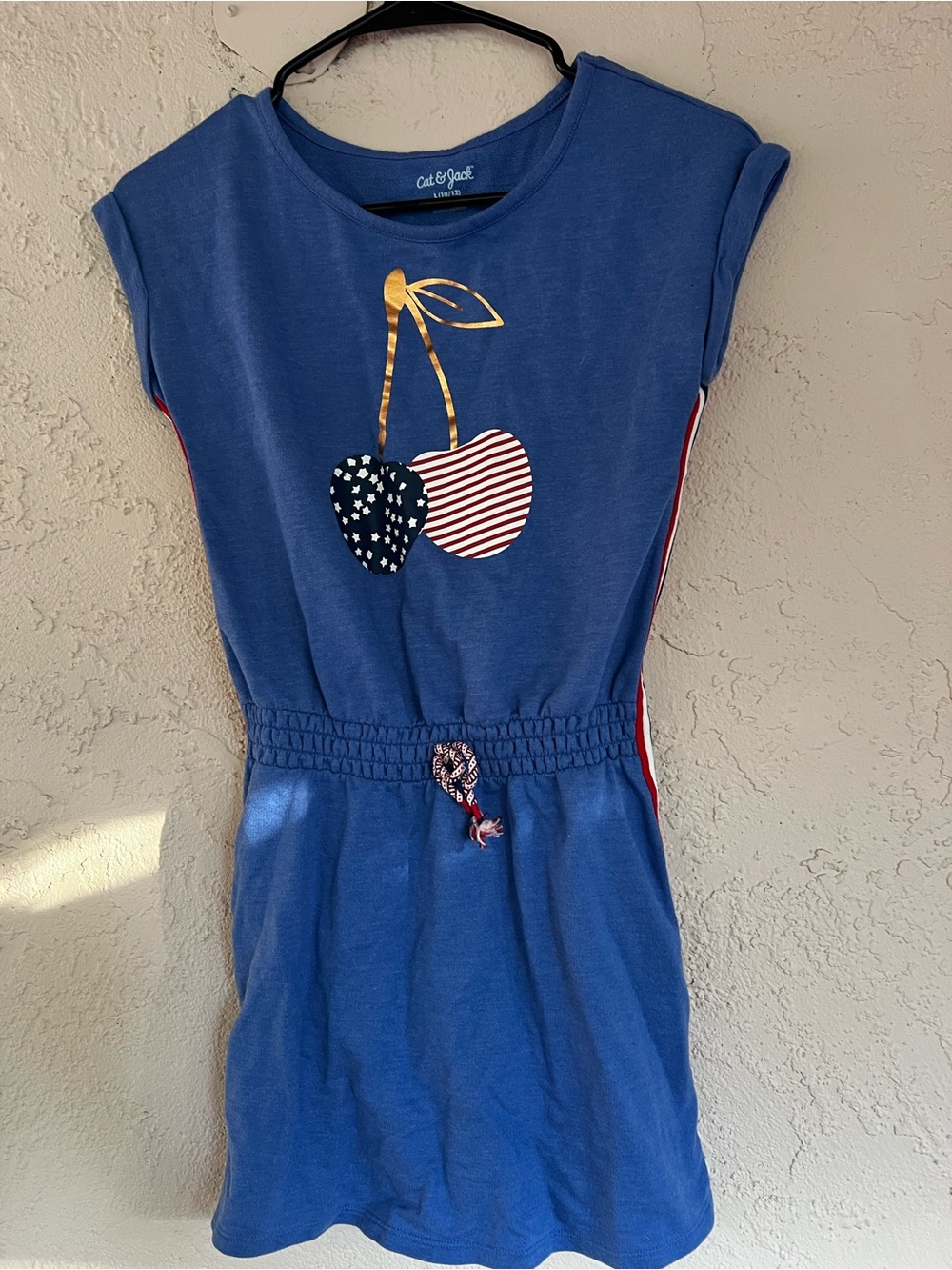 Cat & Jack Blue Cherry Graphic Dress with Red & White Accents